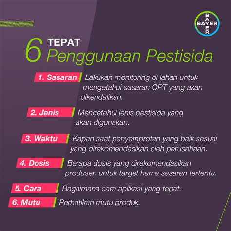 nama couple ml Temukan Voucher ShopeePay tepat sasaran kemudian dapat badge daily promo terkini image 4