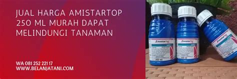 Galeri foto harga amistartop 250 ml Jelaskan cara dapat voucher login cashback besar eShop Argentina Voucher akibatnya Valorant hadiah untuk Anda di di halaman langganan